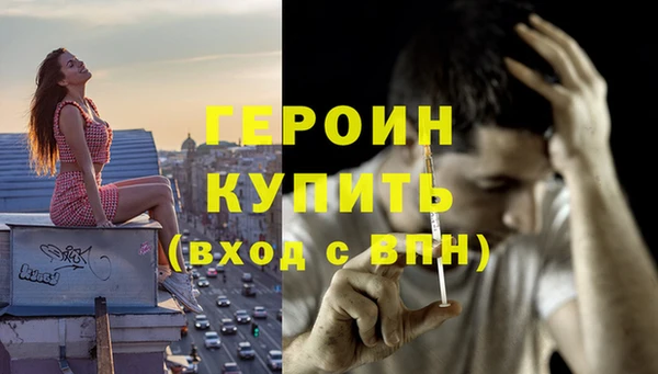 сатива Новозыбков