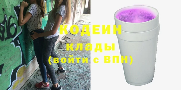 сатива Новозыбков