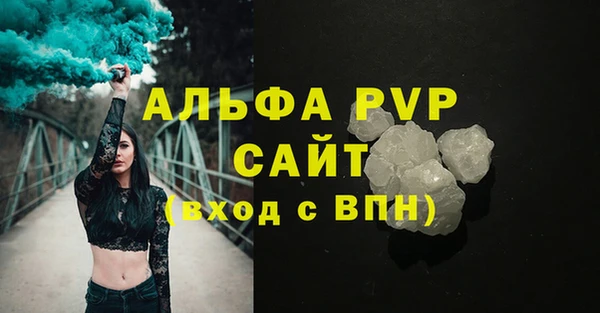 сатива Новозыбков