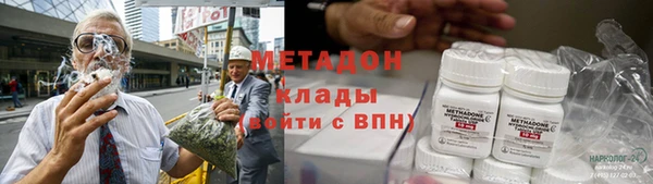 сатива Новозыбков