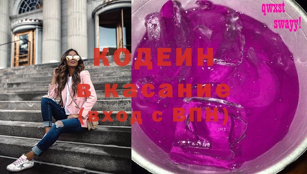 сатива Новозыбков