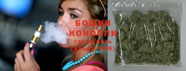 прущие крисы Новодвинск
