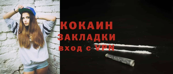 сатива Новозыбков