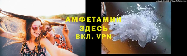 сатива Новозыбков