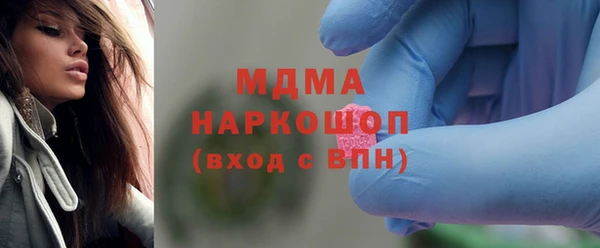 сатива Новозыбков