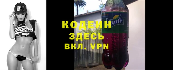 сатива Новозыбков