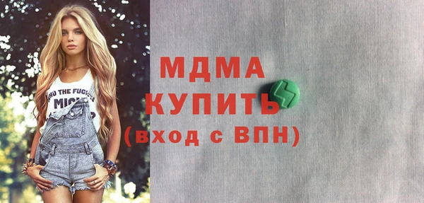сатива Новозыбков