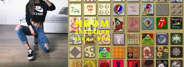 сатива Новозыбков
