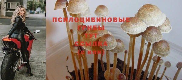 прущие крисы Новодвинск