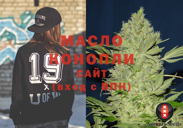 сатива Новозыбков