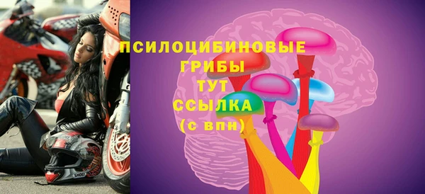 прущие крисы Новодвинск