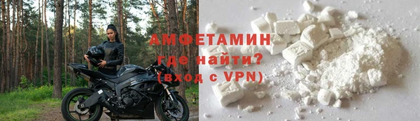 сатива Новозыбков