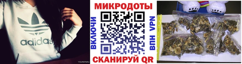 где можно купить   Усть-Кут  Галлюциногенные грибы Cubensis 
