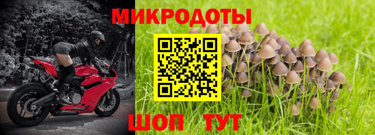 Галлюциногенные грибы Psilocybe  Усть-Кут  Галлюциногенные грибы Cubensis 