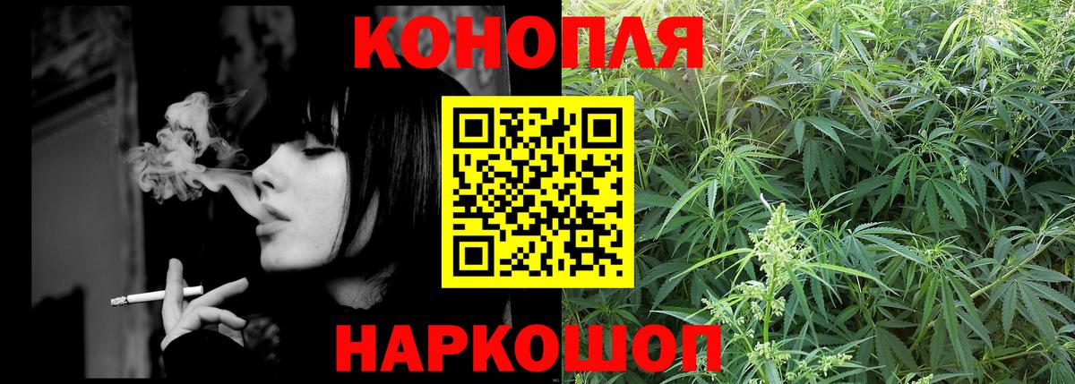 Бошки марихуана OG Kush Усть-Кут